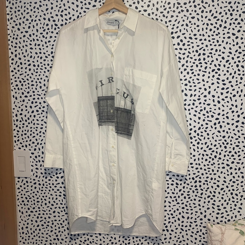 LAST CHANCE Zara Button Down Circus Dress